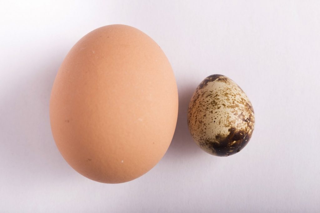 Qanda 肌が白く見えるヘアカラーってどんな色ですか